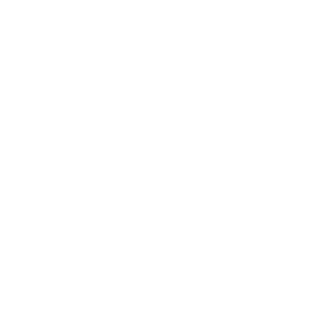 AEO Board